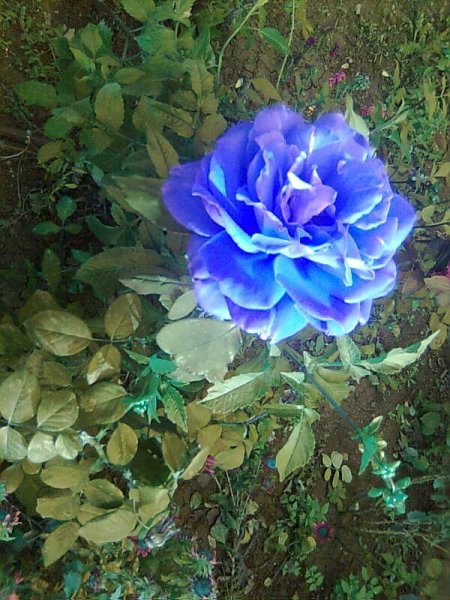 Фото0002