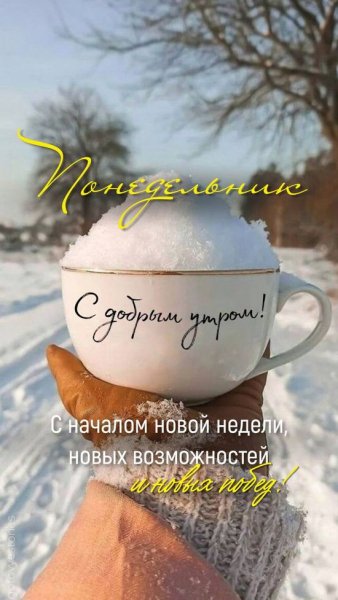 Друзья мои!