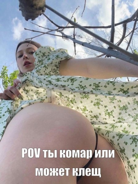 picture_412682111
