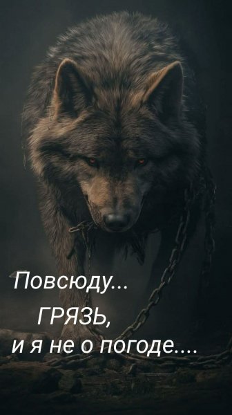 picture_409953006