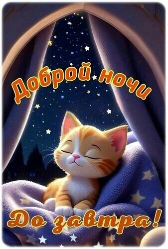 IMG 20260403 214645 482