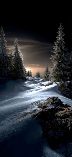 Арт Природа