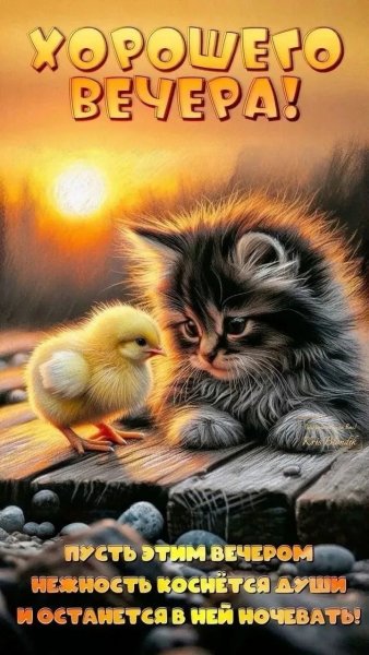 IMG 20260402 211358 782