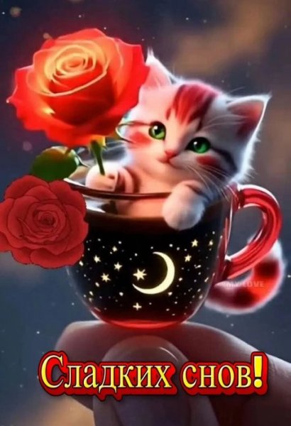 IMG 20260402 211351 151