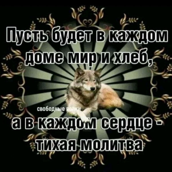 FB IMG 16324874118029831