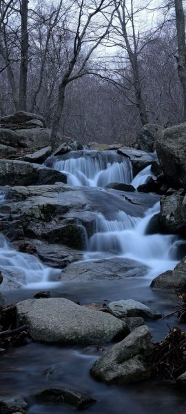 Арт Природа