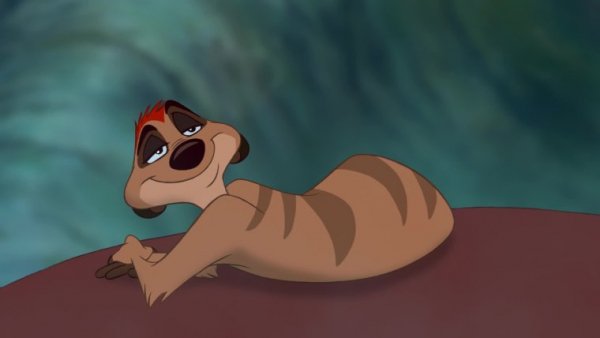 Fo-p-timon-i-pumba-smeshnie-smeshnie-foto-62