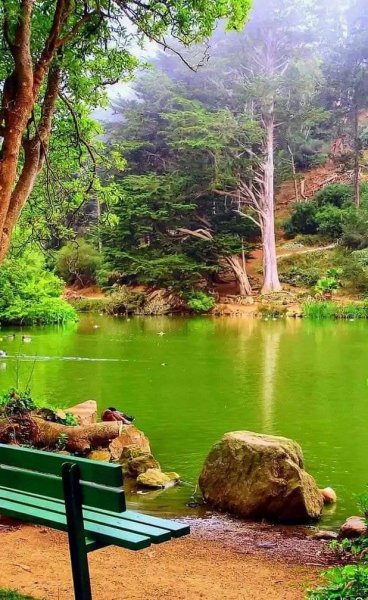 FB IMG 1618156993498