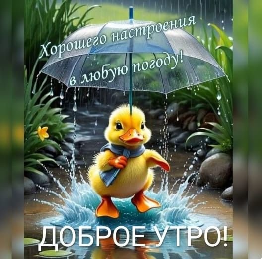 6fbf4cf84565d7692628468c384eb588