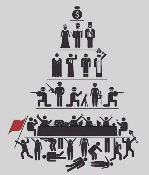 Схема жизни