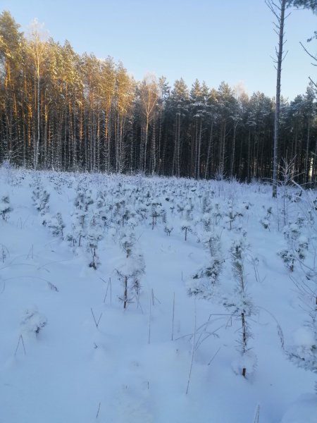 Рыбалка