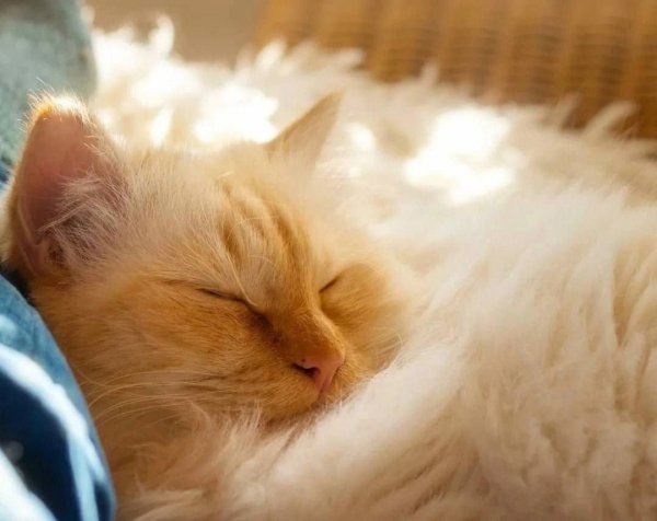 IMG 20260426 222121 218