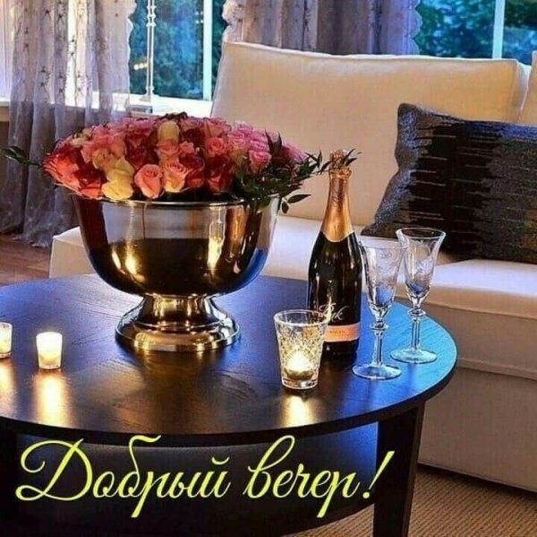 Добрый Вечер