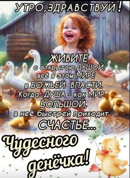 B9ea4931e4a444adaa63071a100d04d2