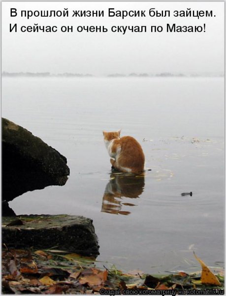 Скучал по Мазаю!
