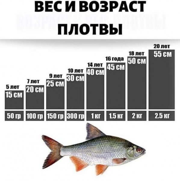 Полезно знать