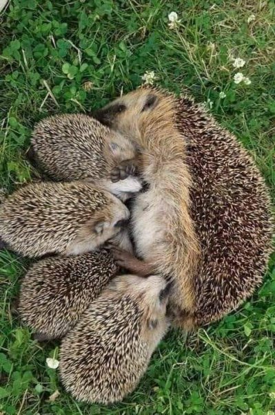 FB IMG 1621166946621