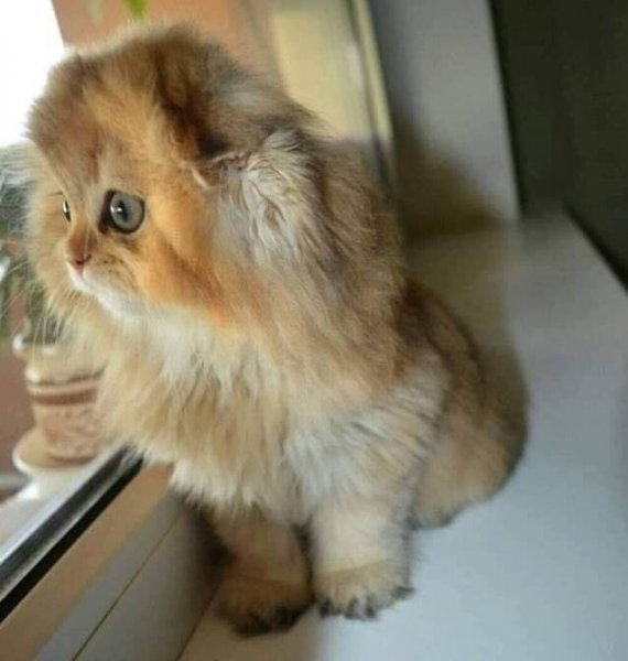 image - 2021-09-17T072924.909