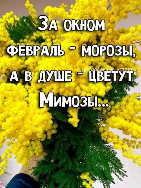 Доброе утро!