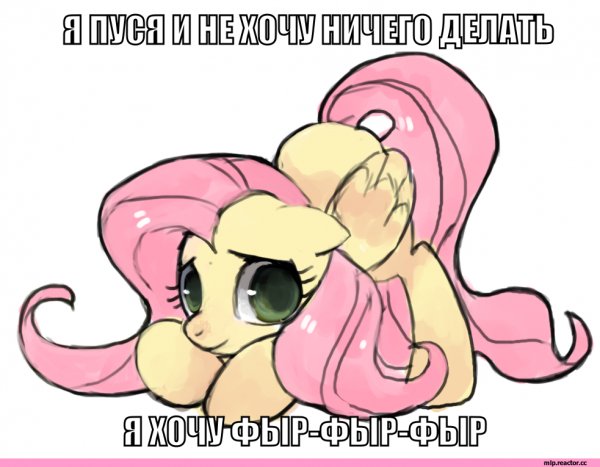my-little-pony-Fluttershy-547416