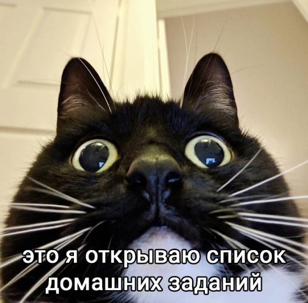 Djket