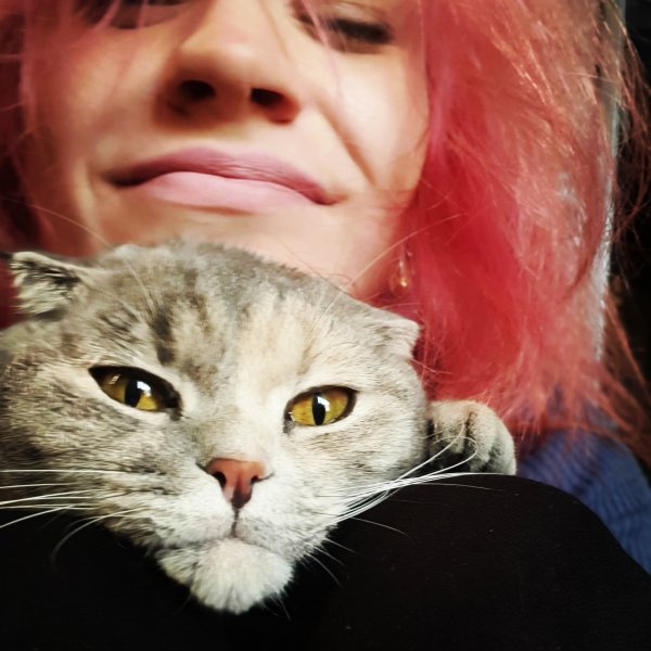 Моя кошка