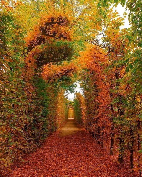 image (3) - 2020-11-03T001336.788