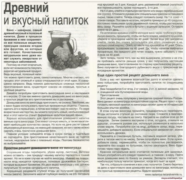 Домашнее вино