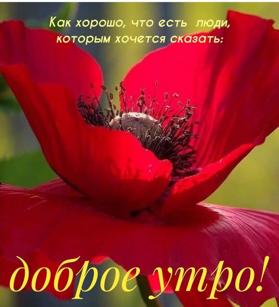 marinaalekminskaya 20200804 5