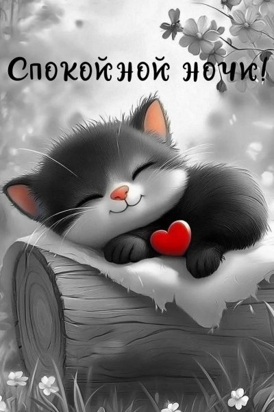 IMG 20260310 224434 721