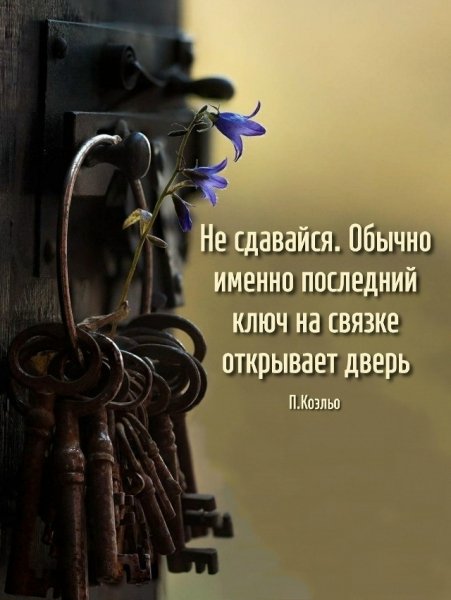 X6qQ12HCbVDG3jCzeULGUPrHbcRKhpeCgLkwy21BcfWylu3rvxdGcAwOUM83