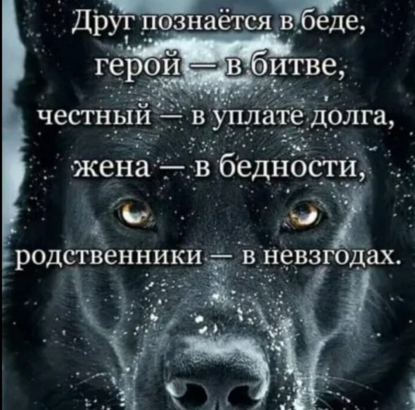 IMG 20210904 124952