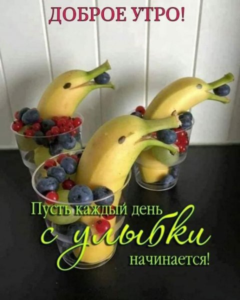 Дельфичики-позитвчики