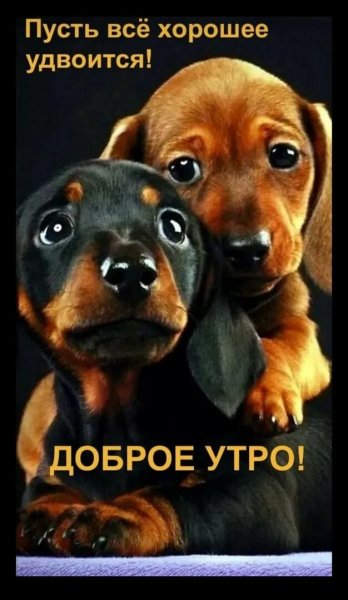 Доброе утро!