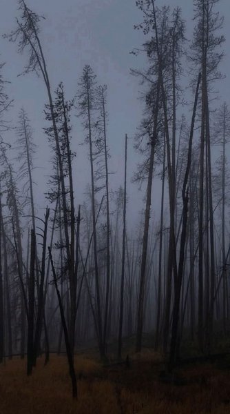 Арт Природа