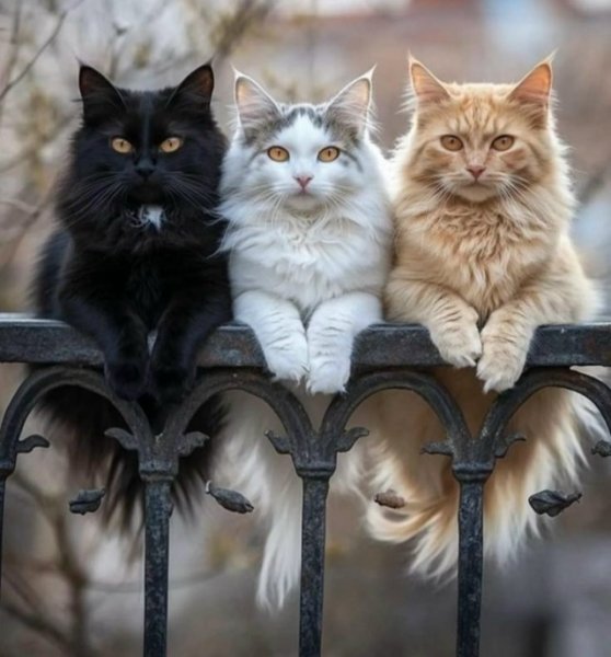 78X RXlPmAafXNlFy2o6twiWrsWiAWHUE 4W4cdTd6gF3H4e-kstgYJtfBMI