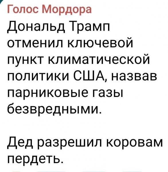 IMG 20260215 064246