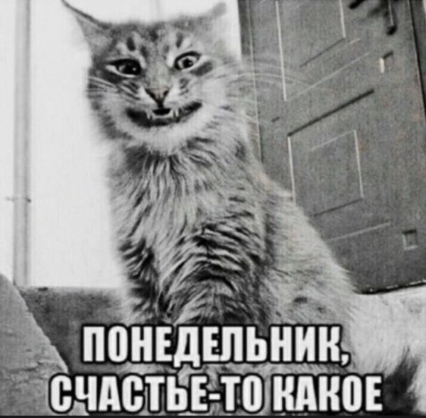 cada-8166-4c9a-bdef-18d2cfd1868e