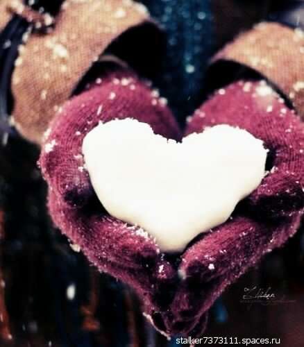 love 225516