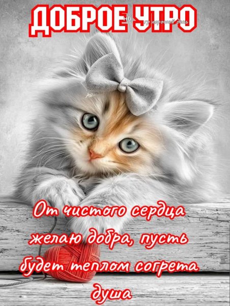 8fc6a7abfdcecd4e26380dad3ce26d5d