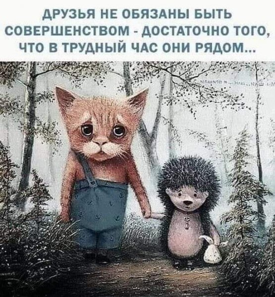 FB IMG 1613117373079