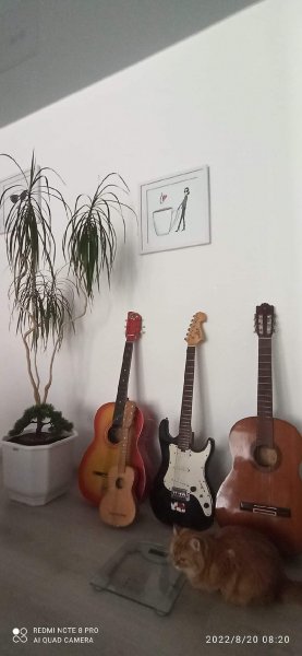 Моя Мия музыкант