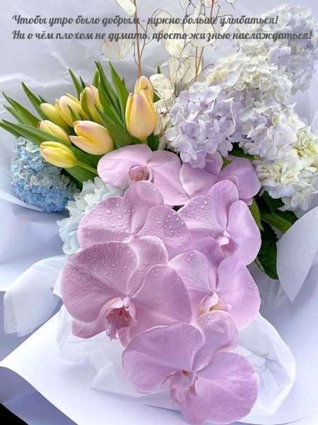IMG-20220419-WA0000