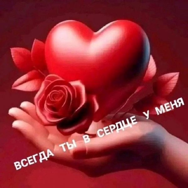 Fcb252089bb874f9dee20db65b92f8eb