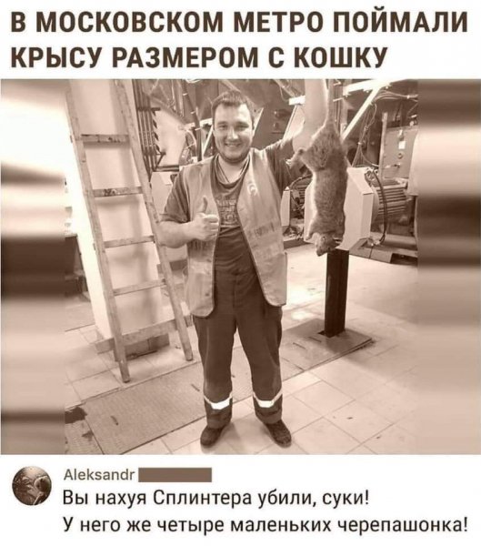 FB IMG 1549259411889