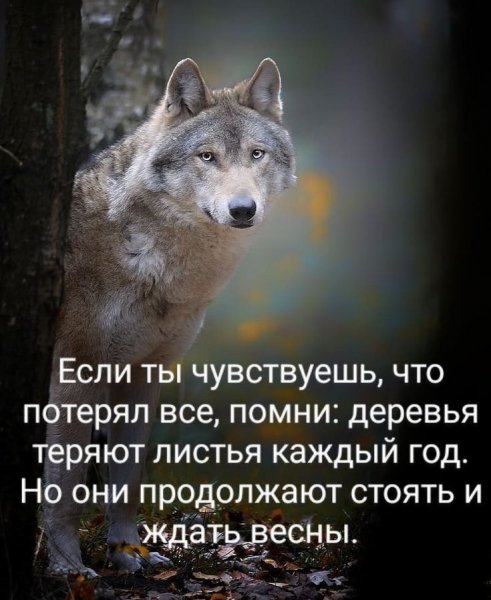 badaf254e16e640402b93523b7552cee