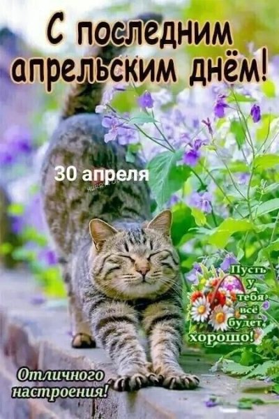 30.04.2026.