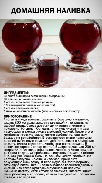 Домашняя наливка