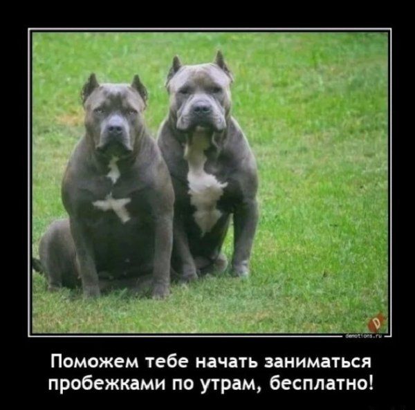Бесплатно