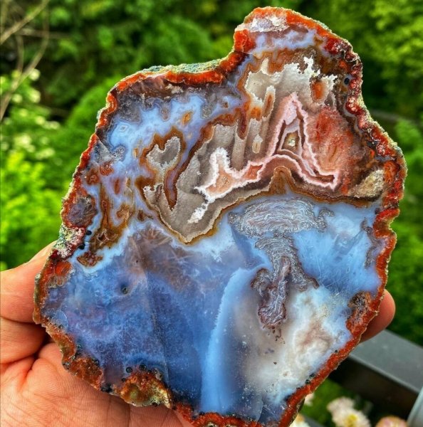 image - 2021-08-31T014239.320